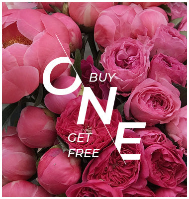 block.settings.image.alt